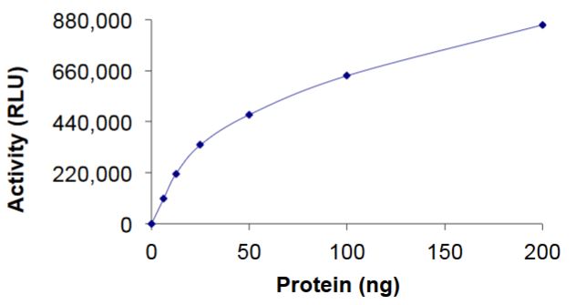 Functional Studies - Recombinant human RAC3 protein (Active) (AB268914)