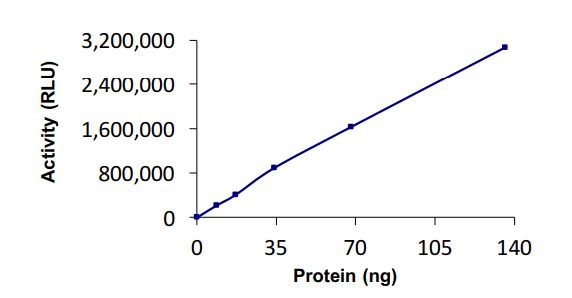 Functional Studies - Recombinant human Rad6 protein (Active) (AB269094)
