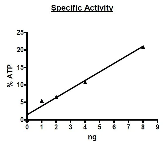 Functional Studies - Recombinant human Raf1 (mutated Y340D + Y341D) protein (Active) (GST tag N-Terminus) (AB271473)