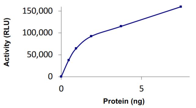 Functional Studies - Recombinant human RanBP2 protein (Active) (AB268915)