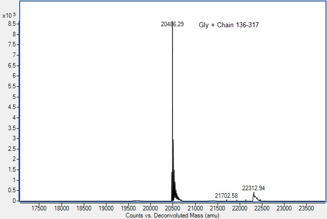 Recombinant Human RANKL protein