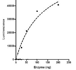 Functional Studies - Recombinant human RbAp48+EED+SUZ12+AEBP2+EZH2 (mutated A738T) protein (Active) (AB271499), expandable thumbnail