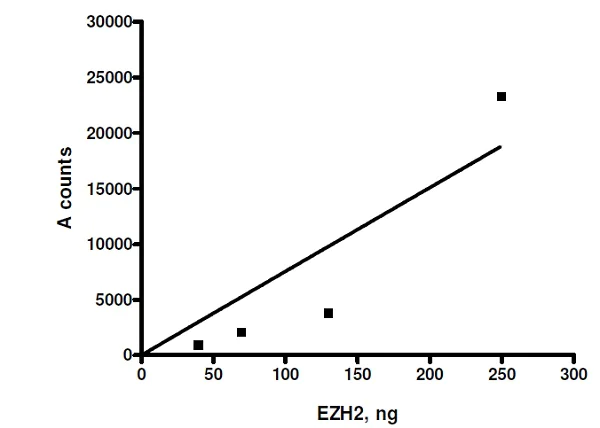 Functional Studies - Recombinant human RBBP4 + EED + SUZ12 + AEBP2 + EZH2 (mutated P132S) protein (Active) (AB271504)