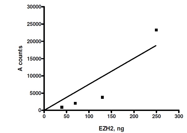 Functional Studies - Recombinant human RBBP4 + EED + SUZ12 + AEBP2 + EZH2 (mutated P132S) protein (Active) (AB271504)