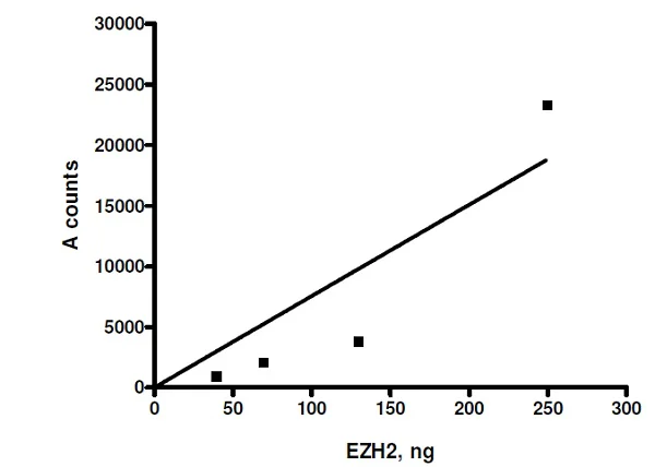 Functional Studies - Recombinant human RBBP4+EED+SUZ12+AEBP2+EZH2 (mut P132S) protein (Active) (His N-Term, DDDDK N-Term) (AB271504)