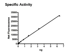 Functional Studies - Recombinant human Renin protein (His tag C-Terminus) (AB135012)