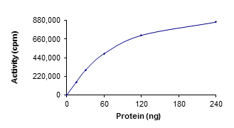 Functional Studies - Recombinant human Ret (mutated G691S) protein (AB186461)