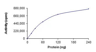 Functional Studies - Recombinant human Ret (mutated G691S) protein (GST tag N-Terminus) (AB186461)