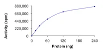 Functional Studies - Recombinant human Ret (mutated G691S) protein (GST tag N-Terminus) (AB186461)