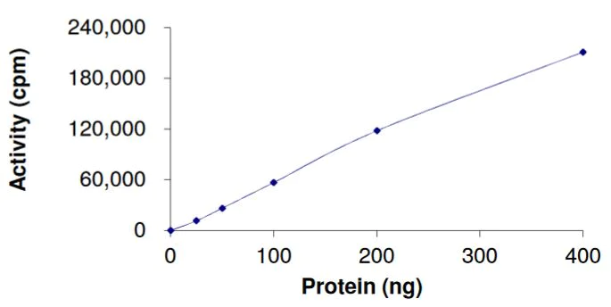 Functional Studies - Recombinant human Ret (mutated L790F) protein (Tagged) (AB268921)
