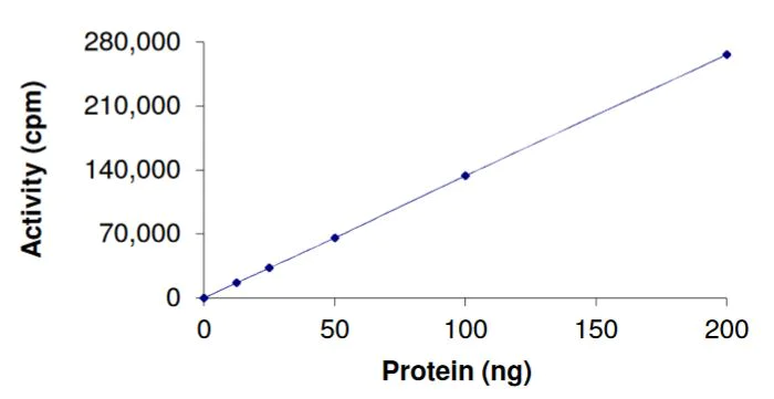 Functional Studies - Recombinant human Ret (mutated M918T) protein (Active) (AB268922)