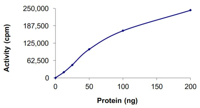 Functional Studies - Recombinant human Ret (mutated R912P) protein (Active) (AB268924)