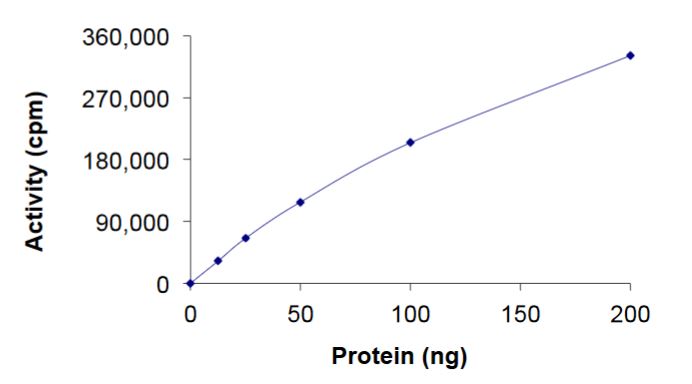 Recombinant human Ret (mutated S904A) protein (Active)