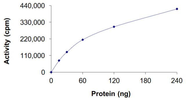 Recombinant human Ret (mutated S904F) protein (Active)
