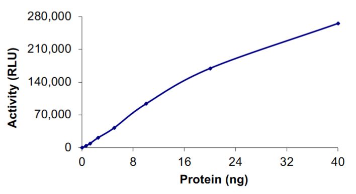 Recombinant human Ret (mutated V778I) protein (Active)