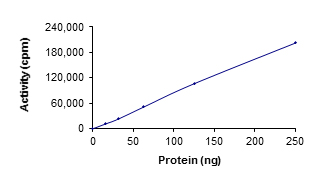 Recombinant human Ret (mutated V804L) protein
