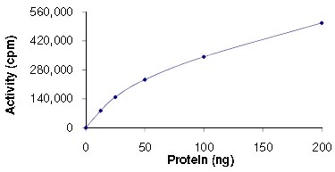Functional Studies - Recombinant human Ret (mutated V804L) protein (AB125531)
