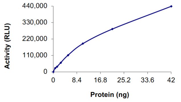 Functional Studies - Recombinant human Ret (mutated V804M) + KIF5B protein (Active) (AB268709), expandable thumbnail