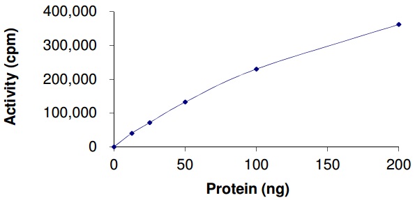 Functional Studies - Recombinant human Ret (mutated V804M) protein (AB186463)