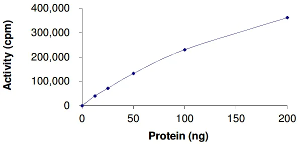 Functional Studies - Recombinant human Ret (mutated V804M) protein (AB186463)