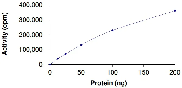 Functional Studies - Recombinant human Ret (mutated V804M) protein (GST tag N-Terminus) (AB186463)