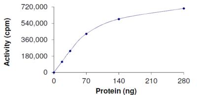 Functional Studies - Recombinant human Ret + PRKAR1A protein (AB204148), expandable thumbnail