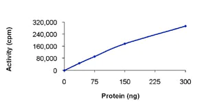 Functional Studies - Recombinant human Ret protein (AB84791)