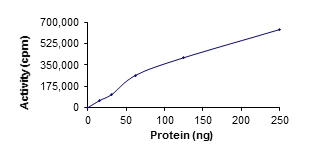 Functional Studies - Recombinant human Ret protein (AB84791)