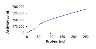 Functional Studies - Recombinant human Ret protein (GST tag N-Terminus) (AB84791)