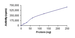 Functional Studies - Recombinant human Ret protein (GST tag N-Terminus) (AB84791)