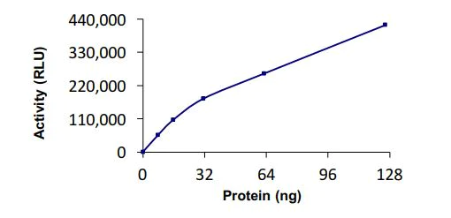 Functional Studies - Recombinant human Rffl protein (Active) (AB268947)