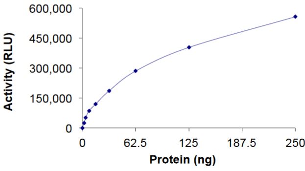 Functional Studies - Recombinant human RHOD protein (Active) (AB268937)