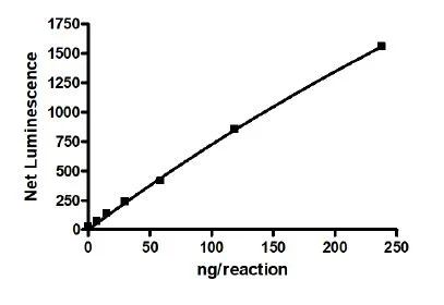 Functional Studies - Recombinant human RIP protein (Active) (GST tag N-Terminus) (AB271732)