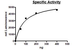 Recombinant human RIP2 protein (Active)