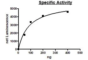 Functional Studies - Recombinant human RIP2 protein (Active) (GST tag N-Terminus) (AB271734)