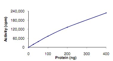 Functional Studies - Recombinant human RIP3 protein (Tagged) (AB125566)