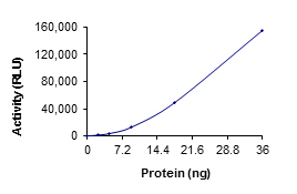 Functional Studies - Recombinant human RIP3 protein (Tagged) (AB125566)