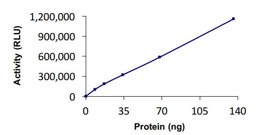 Functional Studies - Recombinant human RNF34 protein (Active) (AB268946)