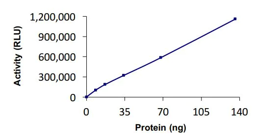 Functional Studies - Recombinant human RNF34 protein (Active) (GST tag N-Terminus) (AB268946)