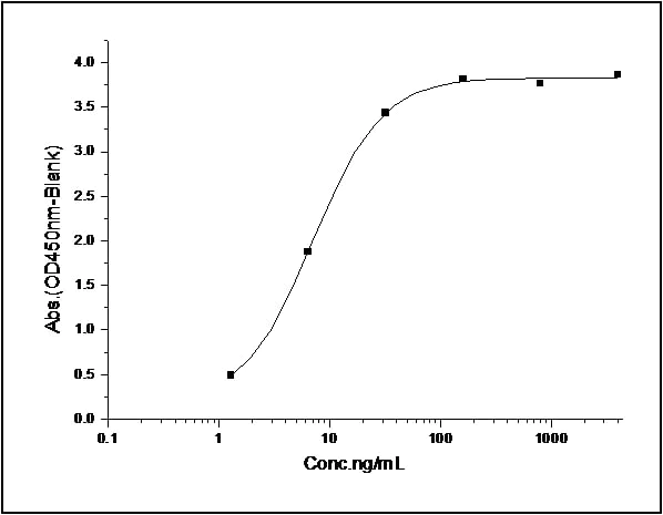 Functional Studies - Recombinant human RNF43 protein (Fc Chimera) (AB276721)