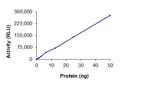 Functional Studies - Recombinant human ROCK1 protein (AB51415)