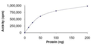 Functional Studies - Recombinant human ROCK2 protein (AB125828), expandable thumbnail