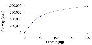 Functional Studies - Recombinant human ROCK2 protein (His tag N-Terminus) (AB125828)