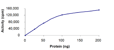 Functional Studies - Recombinant human RON protein (AB70541), expandable thumbnail