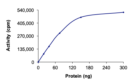 Functional Studies - Recombinant human RON protein (AB70541), expandable thumbnail