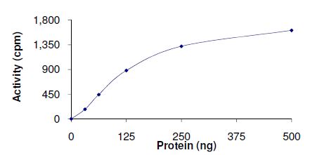 Functional Studies - Recombinant human ROR1 protein (AB140807)