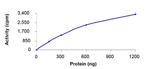Functional Studies - Recombinant human ROR2 protein (AB70614)