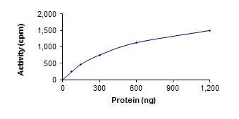 Recombinant human ROR2 protein