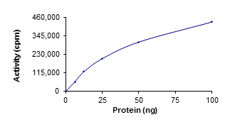 Functional Studies - Recombinant human ROS1 protein (AB125624), expandable thumbnail