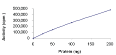 Functional Studies - Recombinant human Rsk 2 / MAPKAP Kinase 1b protein (AB60881)